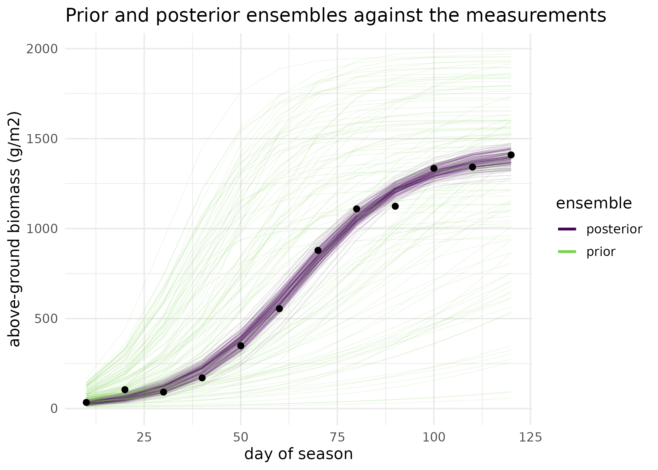 Prior and posterior ensemble fans in observation space. Each faint line is one realisation's biomass trajectory; the points are the synthetic measurements the smoother conditioned on. The prior fan spans the whole plausible envelope; the posterior fan closes onto the measurements and keeps a spread consistent with the 45 g/m2 field noise.